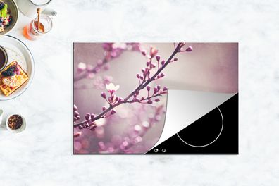 Herdabdeckplatte - 78x52 cm - Nahaufnahme der violetten Blüten einer Sakura