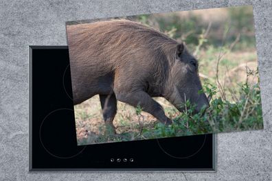 Herdabdeckplatte - 78x52 cm - Schwein - Wildschwein - Wild