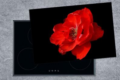 Herdabdeckplatte - 78x52 cm - Eine rote Pfingstrose auf schwarzem Hintergrund
