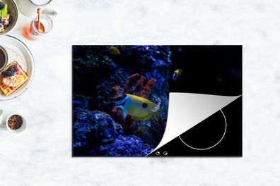 Herdabdeckplatte - 80x52 cm - Aquarienfische in einem Aquarium in Singapur.
