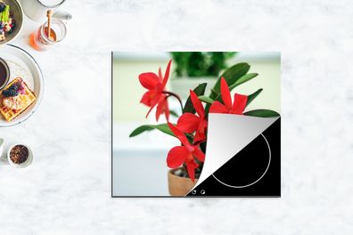Herdabdeckplatte - 75x52 cm - Rote Orchidee im Blumentopf