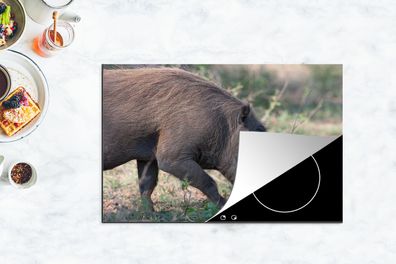 Herdabdeckplatte - 80x52 cm - Schwein - Wildschwein - Wild