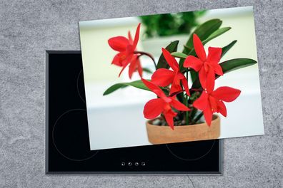 Herdabdeckplatte - 70x52 cm - Rote Orchidee im Blumentopf