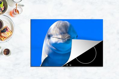 Herdabdeckplatte - 80x52 cm - Delfin in einem Aquarium