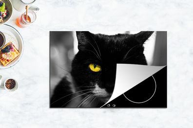 Herdabdeckplatte - 80x52 cm - Schwarz-Weiß-Foto des Kopfes einer schwarzen Katze mit