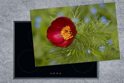 Herdabdeckplatte - 78x52 cm - Die rote Pfingstrose mit grünem Hintergrund