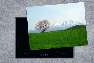 Herdabdeckplatte - 70x52 cm - Kirschblüte - Berg - Japan