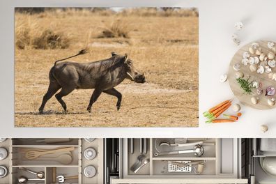Herdabdeckplatte - 80x52 cm - Schwein - Wildschwein - Afrika