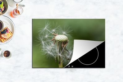 Herdabdeckplatte - 78x52 cm - Löwenzahn verliert seine Samen