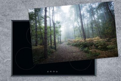 Herdabdeckplatte - 80x52 cm - Wald - Nebel - Weg