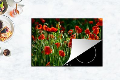 Herdabdeckplatte - 78x52 cm - Frontansicht von Mohnblumen auf dem Feld