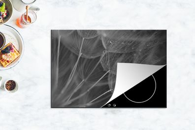 Herdabdeckplatte - 78x52 cm - Detail einer Pusteblume