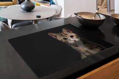 Herdabdeckplatte - 78x52 cm - Katze - Schwarz - Porträt