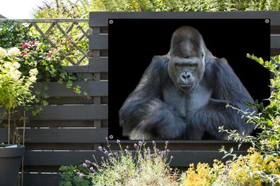 Gartenposter - 120x90 cm - Ein Gorilla schaut eindrucksvoll in die Kamera