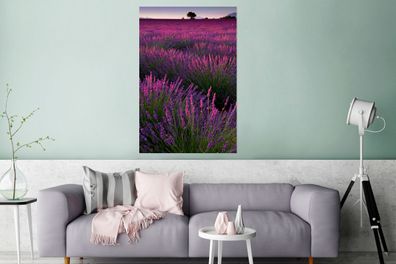 Glasbilder - 80x120 cm - Sonnenuntergang beleuchtet Lavendelfeld in Frankreich