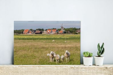 Glasbilder - 30x20 cm - Schafe und eine Mühle auf Ameland (Gr. 30x20 cm)