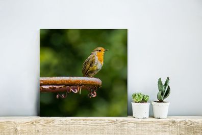 Glasbilder - 20x20 cm - Basketballring - Rotkehlchen - Natur (Gr. 20x20 cm)