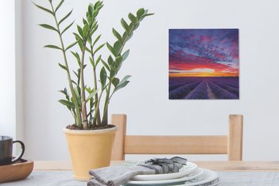 Leinwandbilder - 20x20 cm - Lavendelfeld bei Sonnenuntergang (Gr. 20x20 cm)
