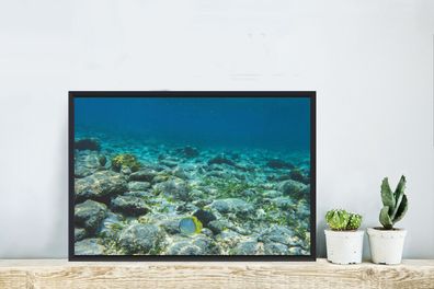 Poster - 60x40 cm - Das Riff des Glover's Reef in Belize (Gr. 60x40 cm)