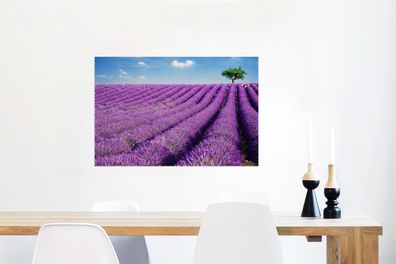 Glasbilder - 90x60 cm - Rollende Lavendelhügel mit einem Baum (Gr. 90x60 cm)