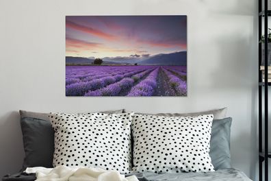 Leinwandbilder - 60x40 cm - Sonnenuntergang über Lavendel (Gr. 60x40 cm)