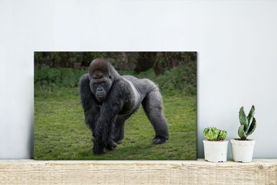 Leinwandbilder - 30x20 cm - Ein Gorilla geht auf seinen Händen und Beinen