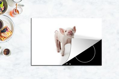 Herdabdeckplatte - 78x52 cm - Schwein - Tiere - Weiß