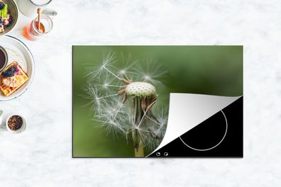 Herdabdeckplatte - 80x52 cm - Löwenzahn verliert seine Samen