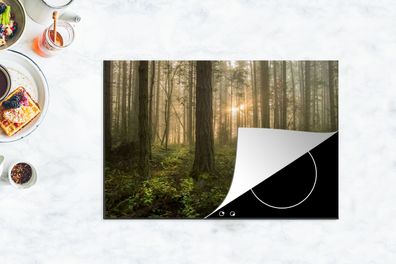 Herdabdeckplatte - 78x52 cm - Wald - Sonne - Licht