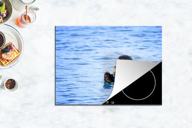 Herdabdeckplatte - 70x52 cm - Seeotter - Lustig - Wasser