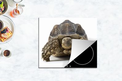 Herdabdeckplatte - 75x52 cm - Schildkröte - Tiere - Weiß