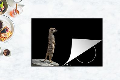 Herdabdeckplatte - 78x52 cm - Erdmännchen - Wilde Tiere - Schwarz