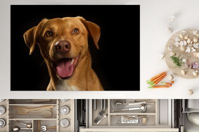 Herdabdeckplatte - 78x52 cm - Hund - Haustiere - Porträt