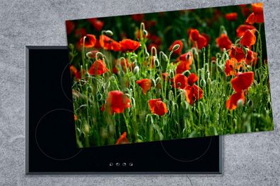 Herdabdeckplatte - 80x52 cm - Frontansicht von Mohnblumen auf dem Feld