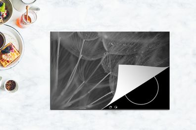 Herdabdeckplatte - 80x52 cm - Detail einer Pusteblume