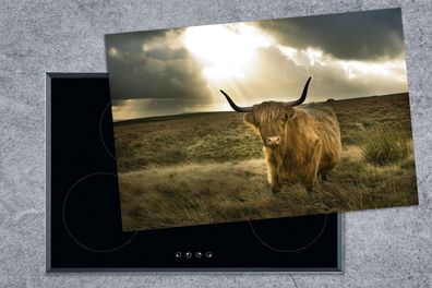 Herdabdeckplatte - 78x52 cm - Schottischer Highlander - Sonne - Tiere