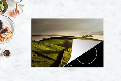 Herdabdeckplatte - 78x52 cm - Steinmauern in der irischen Landschaft