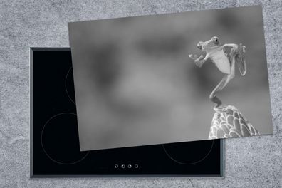 Herdabdeckplatte - 78x52 cm - Der Rotaugenlaubfrosch in Costa Rica in schwarz-weiß