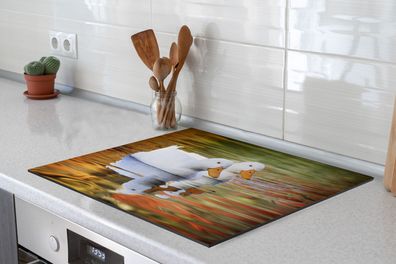 Herdabdeckplatte - 75x52 cm - Enten - Wasser - Spiegelung - Familie