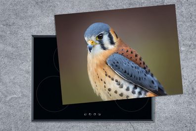 Herdabdeckplatte - 70x52 cm - Vogel - Makro - Blau