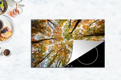 Herdabdeckplatte - 80x52 cm - Herbst - Himmel - Baum