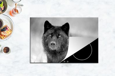 Herdabdeckplatte - 78x52 cm - Wolf - Nahaufnahme - Schwarz - Weiß