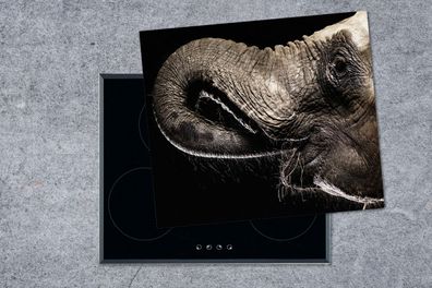 Herdabdeckplatte - 75x52 cm - Porträt eines Elefanten mit seinem Rüssel im Maul