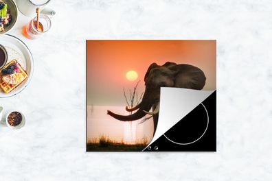 Herdabdeckplatte - 60x52 cm - Elefant bei Sonnenuntergang