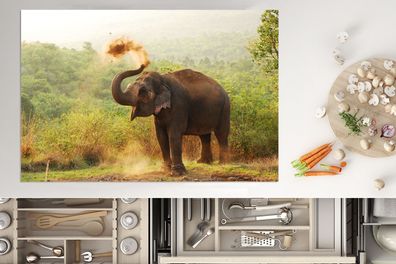 Herdabdeckplatte - 78x52 cm - Reinigung Elefant