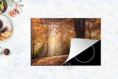 Herdabdeckplatte - 78x52 cm - Herbst - Licht - Wald