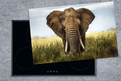 Herdabdeckplatte - 80x52 cm - Bedrohender Elefant