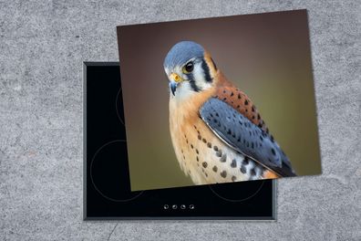 Herdabdeckplatte - 75x52 cm - Vogel - Makro - Blau