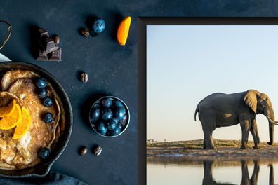 Herdabdeckplatte - 78x52 cm - Elefant an einem See