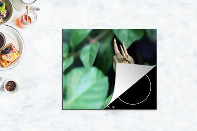 Herdabdeckplatte - 75x52 cm - Verstecktes Chamäleon zwischen den Blättern